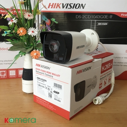 CAMERA IP HIKVISION DS-2CD1043G0E-IF