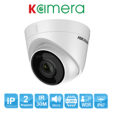 CAMERA IP HIKVISION DS-2CD1323G0-IU