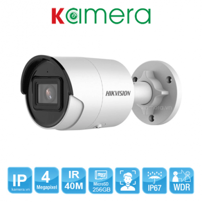 CAMERA IP HIKVISION DS-2CD2043G2-IU